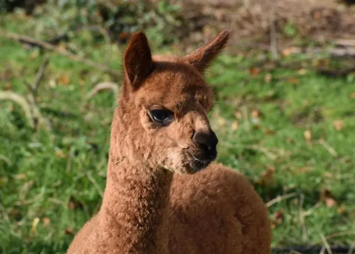 Sessiagh House 3* Castlefinn